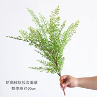 Новая мягкая резинка мимозы с высокой веткой.