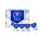 Freesia 4-ply 24-pack paper handkerchief Vida