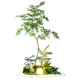 Songyu simulated green plants indoor corner potted plants