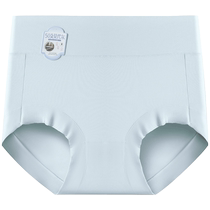 Catman Underwear Womens Modal High Waist Tummy Control Antibacterial 2024 New Boxer Briefs Large Size Womens Boxer Shorts YL