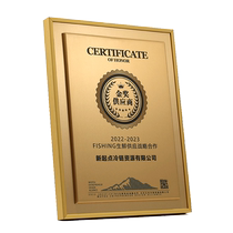 High-end metal medal customization agent authorization franchise honorary award plaque letter of appointment trophy customization