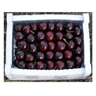 Now pick and discover Fameizao cherry 5Jin [Jin is equal to 0.5 kg] cherries fresh fruit Shandong Yantai big cherry full box season j