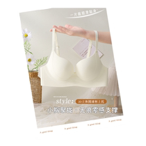 Catman Seamless Underwear Womens Small Breast Gathering Anti-sagging Side Breast Reduction Sexy Wireless Back Bra Summer