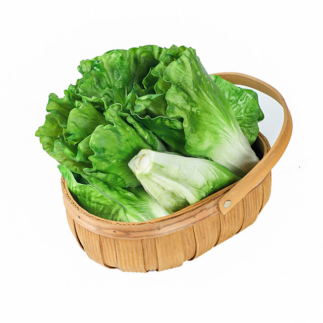 Nanoleaf Hotel Decoration Sushi Photography Props Decoration Nanoleaf Hotel Decoration Sushi Photography Props Decoration