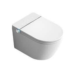 Japanese wall -mounted smart toilet integrated embedded hidden water tank toilet