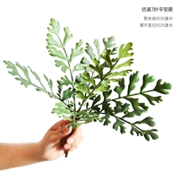 Симуляция 7-листья мирного папоротника