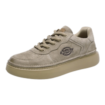 Dickies mens shoes 2024 new summer shoes mens thick-soled workwear sneakers spring and autumn mens casual shoes