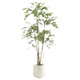 Simulated plant nandina floor-standing potted plant