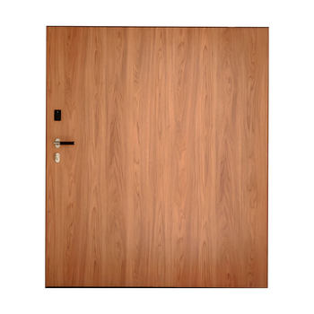 Minimalist off-axis door home interior customization