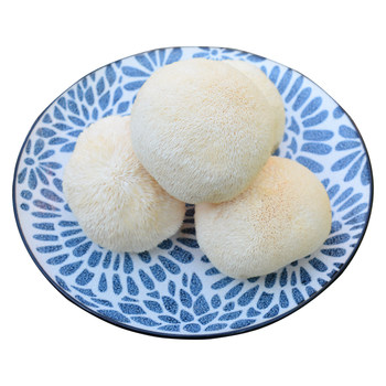 Minfei fresh hericium mushrooms 2kg sf free shipping