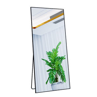 Mirror full body dressing mirror home floor-standing wall-mounted ins