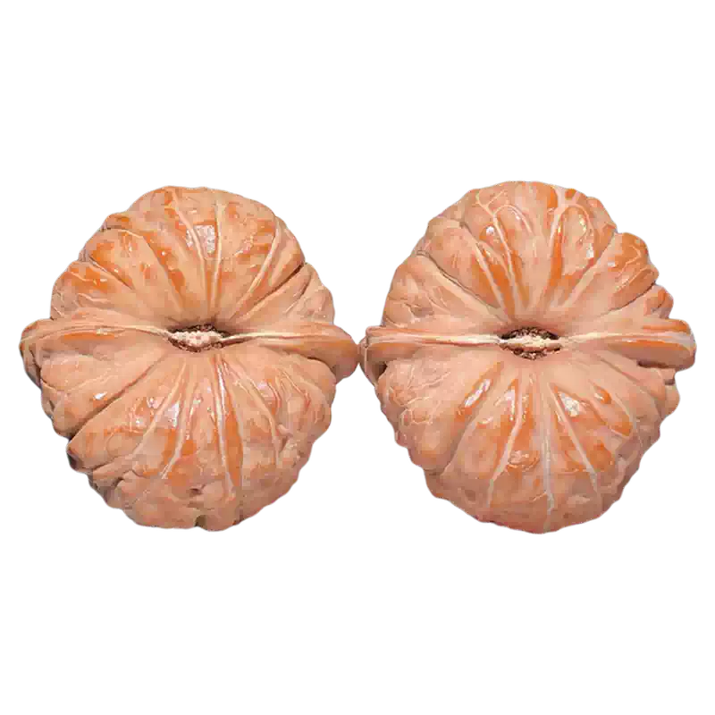 曹大龙核桃文玩精品手盘玩高端小众冷门罕见天然野生收藏级古玩男