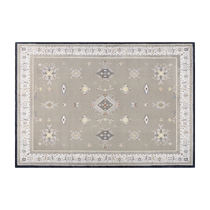 (Self-operated) carpet living room bedroom winter bedside blanket light luxury high-end sofa coffee table soundproof retro