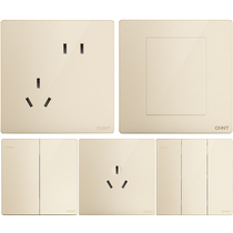 Chint switch socket flagship store official website type 86 five-hole household Aido gold usb power switch panel 2S