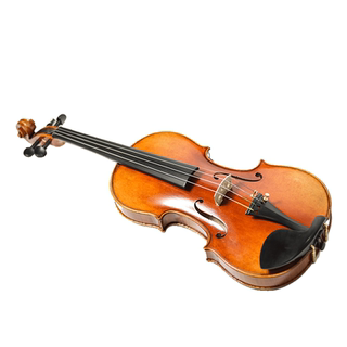 Global best seller of 10,000+ high-end violins