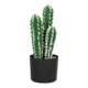 Simulated cactus potted succulents fake cactus