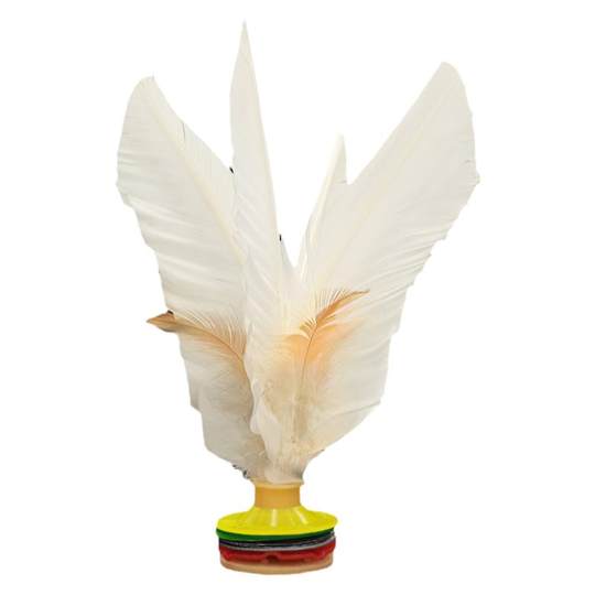 Yuedong Dabai Shuttlecock Sports and Fitness Professional Competition