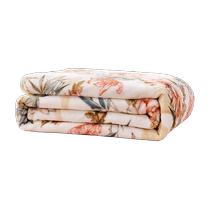 Fuana blanket winter flannel blanket coral velvet blanket sofa air conditioning blanket single student lunch break blanket