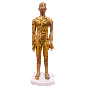穴位人体模型小- Top 500件穴位人体模型小- 2026年7月更新- 淘宝Taobao 