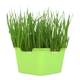 Planting garlic seedlings artifact soilless cultivation vegetable equipment seedling tray sprouts planting tray hydroponic onion seedlings onion planting garlic seeds