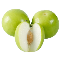 Extra large milk jujube sapling grafted milk jujube tree fruit seedling north and south courtyard potted ground planting results in the same year