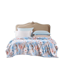 Fuanna Couette en Soie Couette dété Noyau de Couette climatisé Simple et Double Literie de ménage Printemps Automne et été Noyau de Couette Mince