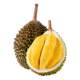 AAA grade! Musang King Malaysia 5 rooms guaranteed