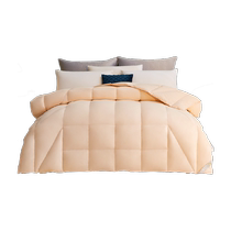 Luolai childrens Class A anti-mite 95 white goose down winter quilt core dormitory down two-in-one quilt thickened autumn and winter quilt core