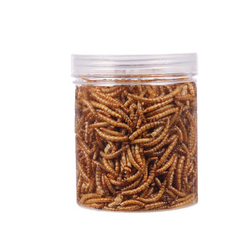 High-protein mealworm dried ornamental fish feed for brontosaurus