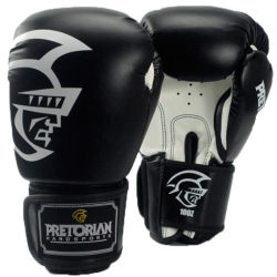 Brazil Executive Boxing Gloves for Fighting, Adult Men and Women, 14oz Muay Thai Sanda Punching Bag Training Gloves 16oz