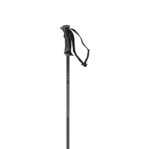 Salomon womens ski pole ARCTIC LADY