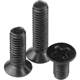 Black cross head computer screws