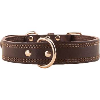 Labrador golden retriever husky leather collar