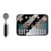 Live broadcast dedicated sound card set for mobile phones and computers