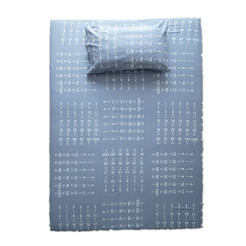 Bed sheets + pillowcase + storage bag set