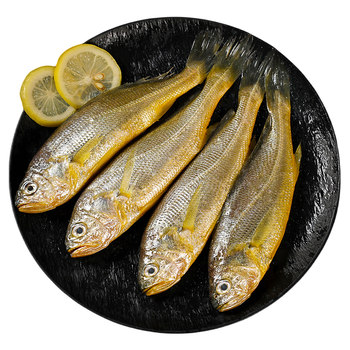 Zhoushan wild small yellow croaker terminal fresh goods