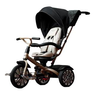 Multifunctional tricycle