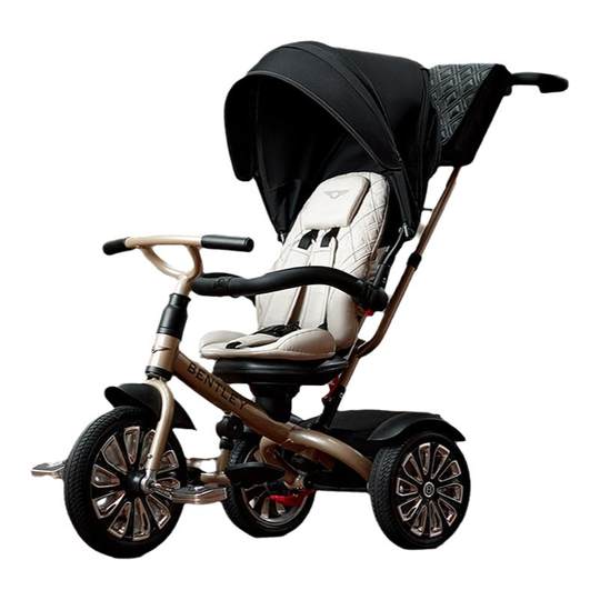 Multifunctional tricycle