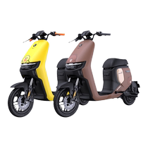 No.9 Electric F35LINEFRIENDS co-branded new national standard electric vehicle smart No.9 battery car pick up in store