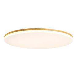 Full Spectrum Ceiling Lamp Led Rectangular Living Room Lamp Simple Modern Log Bedroom Room Lamp Solid Wood Lamps