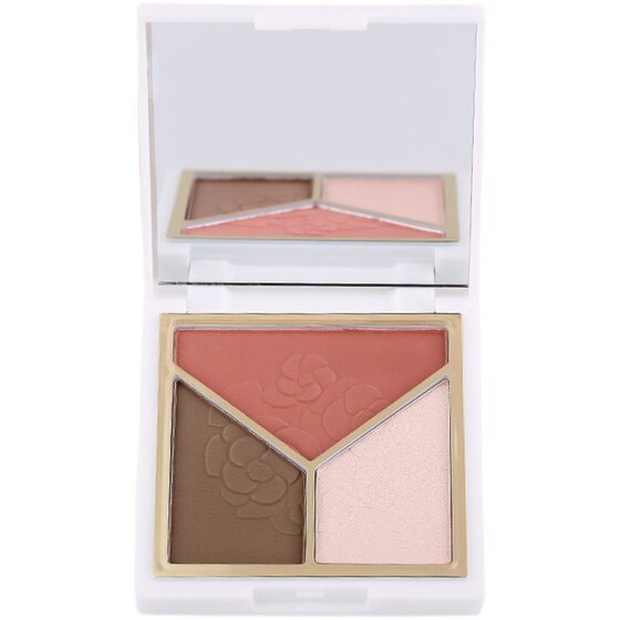 Shimmer blush highlighter all-in-one palette