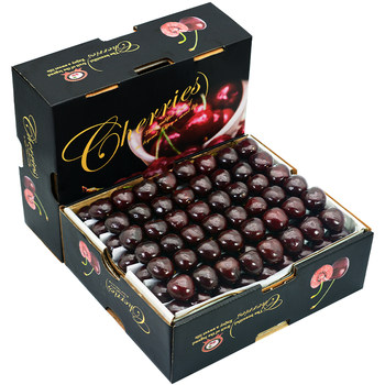 Next day air freight! official flagship of santina black car