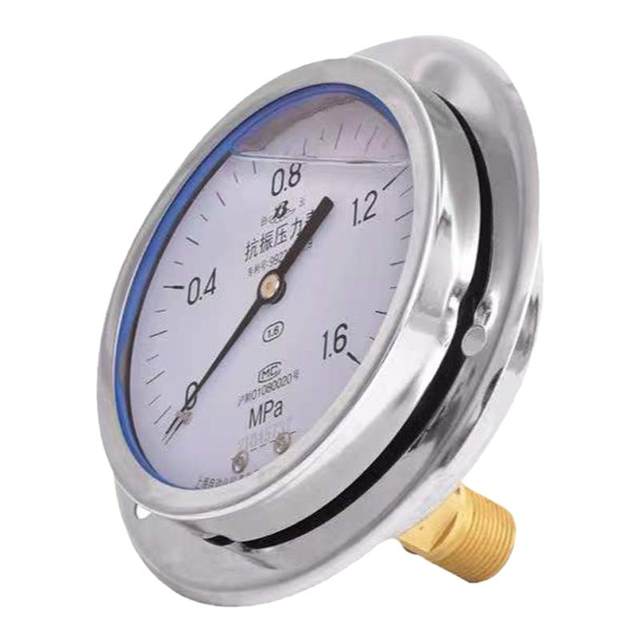 Shanghai Baiyun brand axial edge shock-resistant pressure gauge