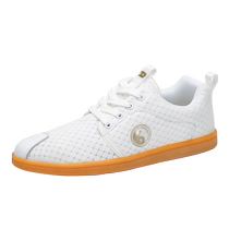 Harroman Four Seasons Tai Chi Shoes Mens Tendon Sole Sports Shoes Morning Exercise Martial Arts Shoes Womens Tai Chi Kung Fu Mesh Shoes
