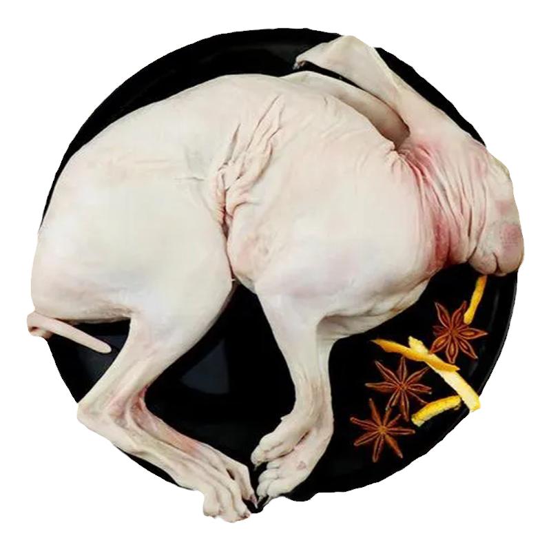 10 pounds of fresh rabbit meat, farm-grown white striped skin