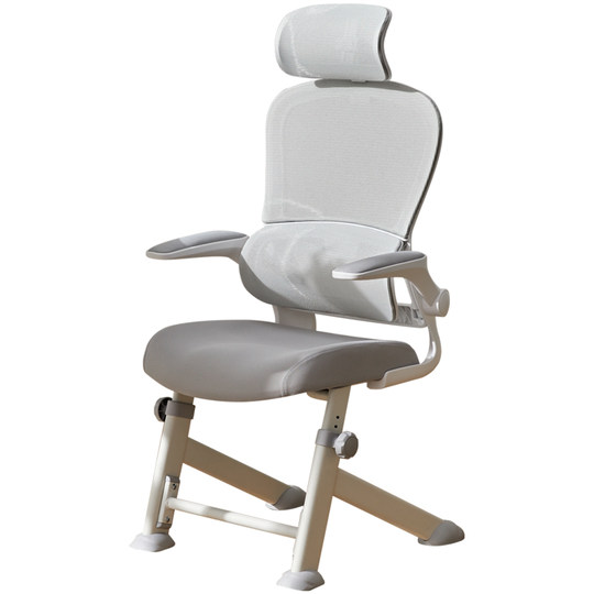 Bajiujian Y5F stable chair