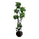 Duck foot wood simulated green plants, high-end and realistic