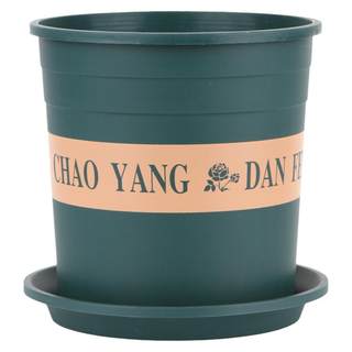 [Recommended by Experts] Thickened Pot for Growing Immortal Flowers