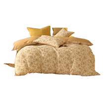 Mercury Home Textiles mugwort antibacterial and warm four-piece sanding set autumn and winter Aibao cotton sheets and quilt covers home bedding