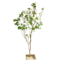 Artificial Horsewood Green Plant Landscaping Indoor Window Display Decorative Plant Fake Tree Artificial Tree Scene Soft Decoration Landscape